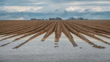 inundatii camp