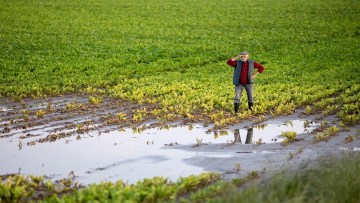 inundatii 2024 agricultura