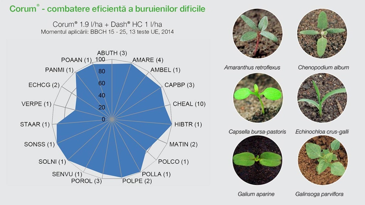 Corum Erbicid pentru soia lucerna fasole mazare